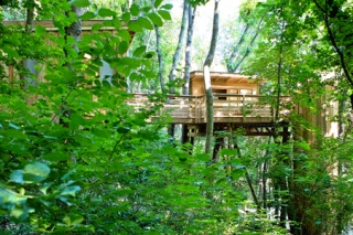 Cabinas en los árboles en Lyon 
